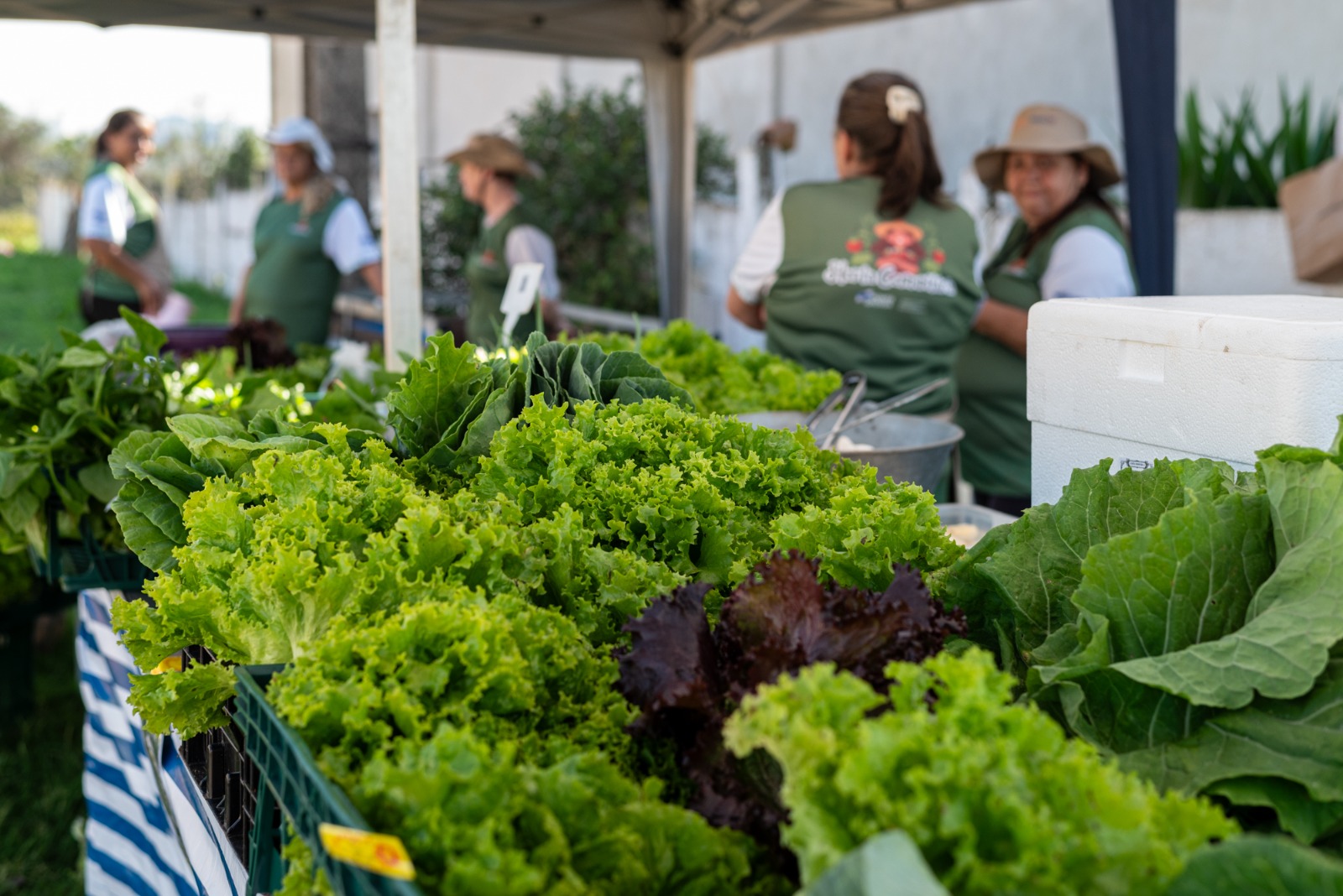 Prefeitura abre chamamento para agricultores familiares e entidades participarem do Programa de Aquisição de Alimentos